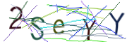 이미지 CAPTCHA