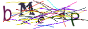 이미지 CAPTCHA