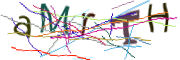 이미지 CAPTCHA