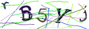 이미지 CAPTCHA