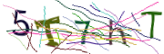 이미지 CAPTCHA