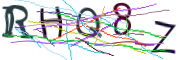 이미지 CAPTCHA