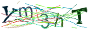 이미지 CAPTCHA