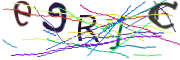 이미지 CAPTCHA
