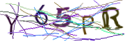 이미지 CAPTCHA