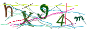 이미지 CAPTCHA