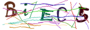 이미지 CAPTCHA