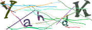 이미지 CAPTCHA