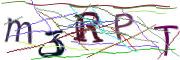 이미지 CAPTCHA