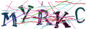 이미지 CAPTCHA