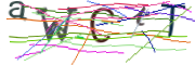이미지 CAPTCHA