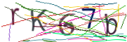 이미지 CAPTCHA