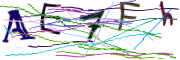 이미지 CAPTCHA