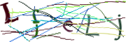 이미지 CAPTCHA