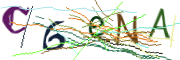 이미지 CAPTCHA