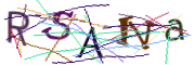 이미지 CAPTCHA