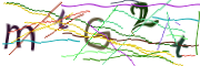 이미지 CAPTCHA