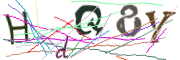 이미지 CAPTCHA