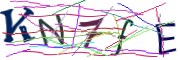 이미지 CAPTCHA