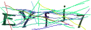 이미지 CAPTCHA