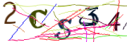 이미지 CAPTCHA