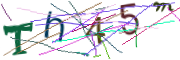 이미지 CAPTCHA