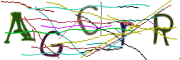 이미지 CAPTCHA