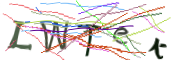 이미지 CAPTCHA