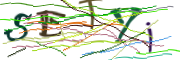 이미지 CAPTCHA