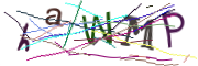 이미지 CAPTCHA