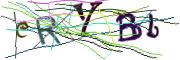 이미지 CAPTCHA