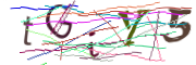 이미지 CAPTCHA