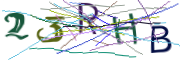 이미지 CAPTCHA