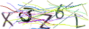 이미지 CAPTCHA