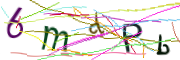 이미지 CAPTCHA