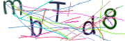 이미지 CAPTCHA