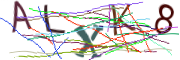 이미지 CAPTCHA