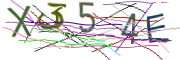 이미지 CAPTCHA