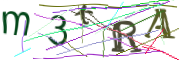 이미지 CAPTCHA