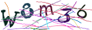 이미지 CAPTCHA