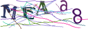 이미지 CAPTCHA