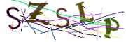 이미지 CAPTCHA