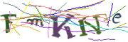 Bild CAPTCHA