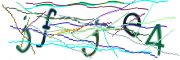 이미지 CAPTCHA