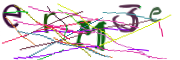 이미지 CAPTCHA