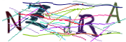 이미지 CAPTCHA