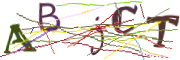 이미지 CAPTCHA
