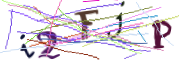 이미지 CAPTCHA