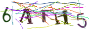 이미지 CAPTCHA