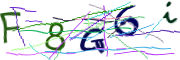 이미지 CAPTCHA